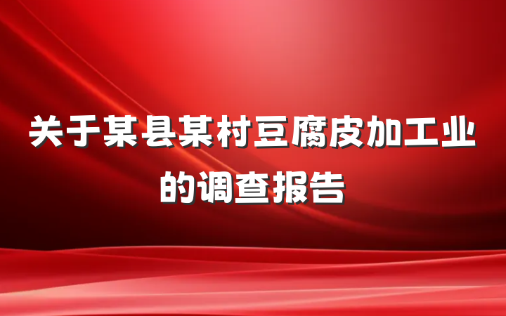 关于某县某村豆腐皮加工业的调查报告