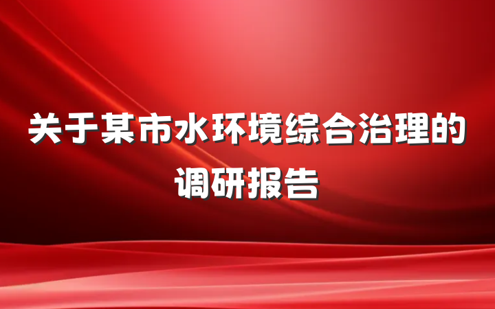 关于某市水环境综合治理的调研报告