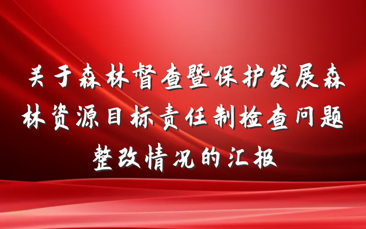 关于森林督查暨保护发展森林资源目标责任制检查问题整改情况的汇报