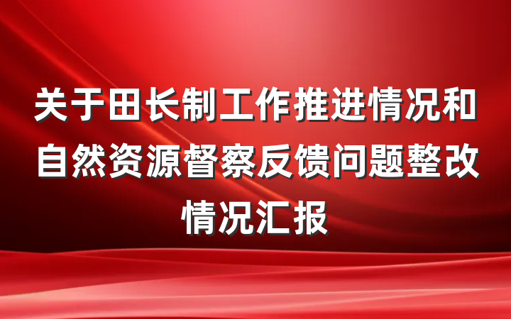 关于田长制工作推进情况和自然资源督察反馈问题整改情况汇报
