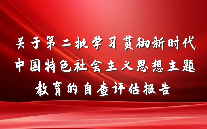 关于第二批学习贯彻新时代中国特色社会主义思想主题教育的自查评估报告