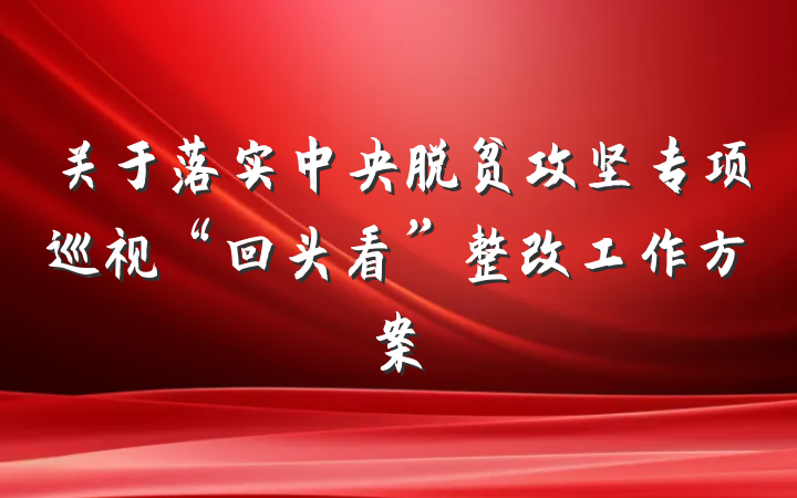 关于落实中央脱贫攻坚专项巡视“回头看”整改工作方案