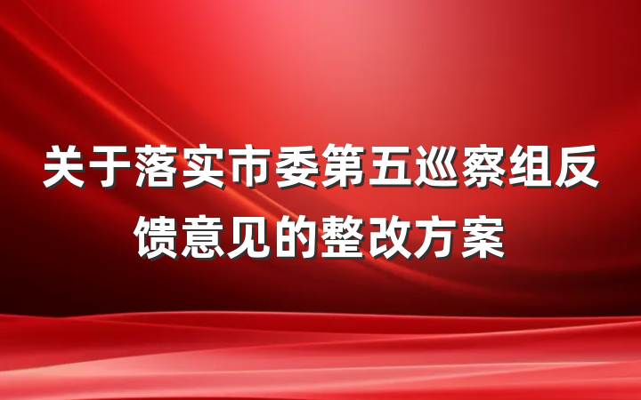 关于落实市委第五巡察组反馈意见的整改方案