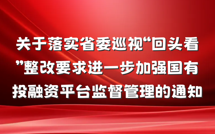 关于落实省委巡视“回头看”整改要求进一步加强国有投融资平台监督管理的通知