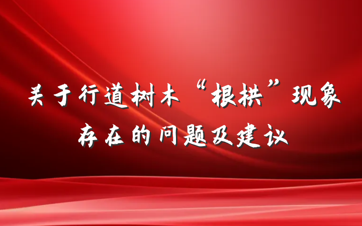 关于行道树木“根拱”现象存在的问题及建议