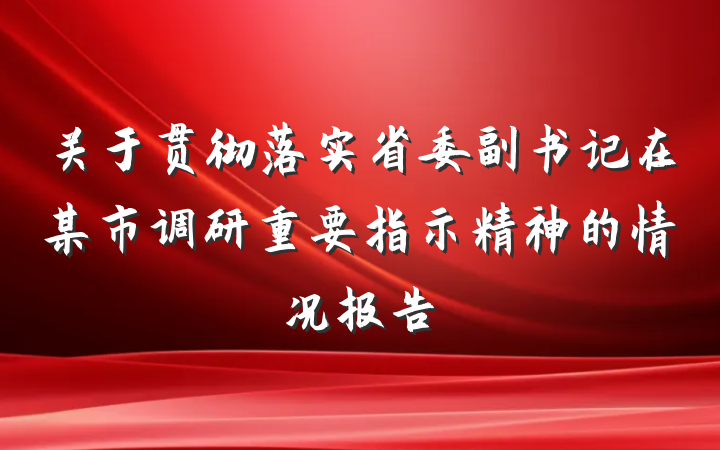 关于贯彻落实省委副书记在某市调研重要指示精神的情况报告