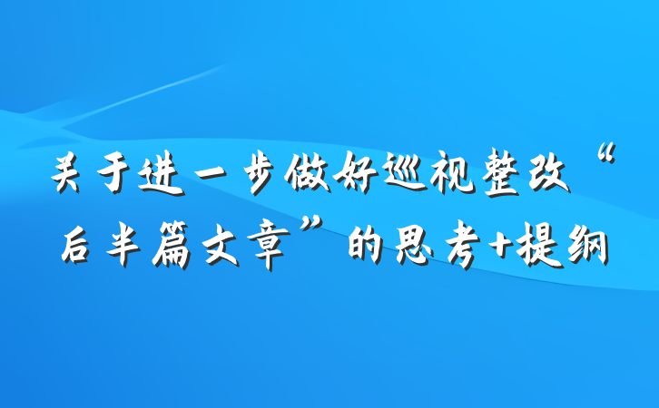 关于进一步做好巡视整改“后半篇文章”的思考 提纲