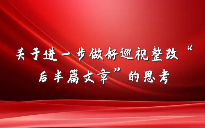 关于进一步做好巡视整改“后半篇文章”的思考