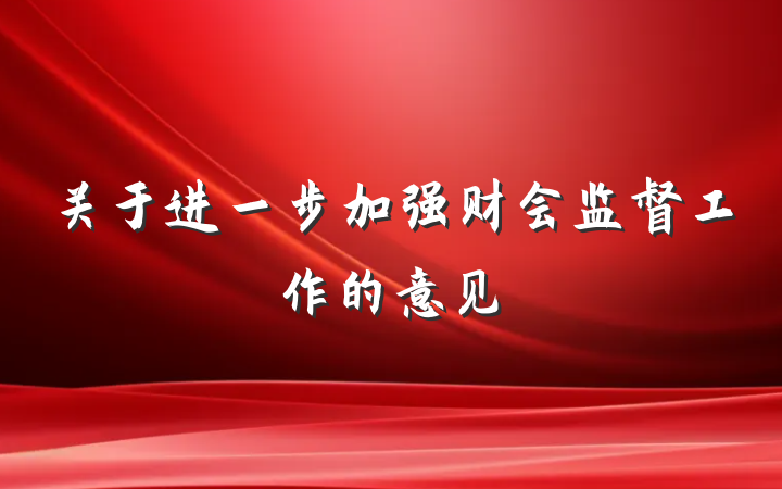 关于进一步加强财会监督工作的意见