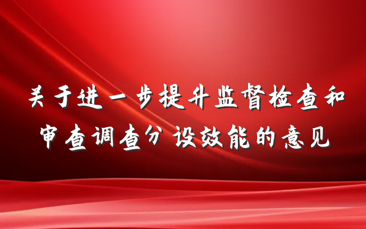 关于进一步提升监督检查和审查调查分设效能的意见