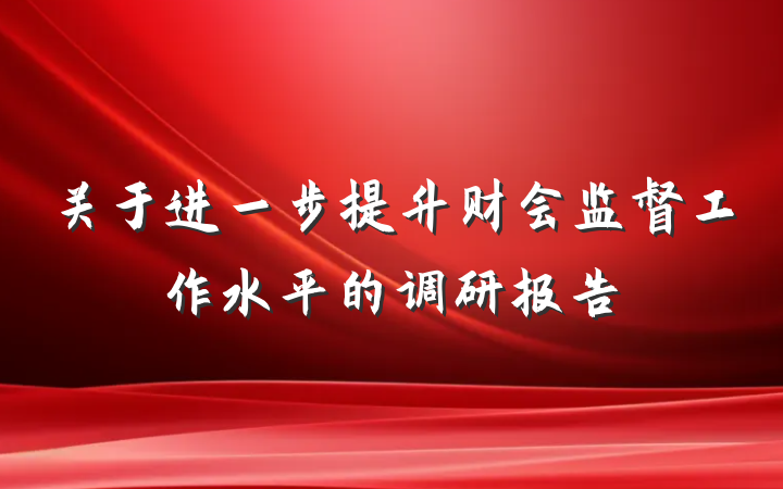 关于进一步提升财会监督工作水平的调研报告