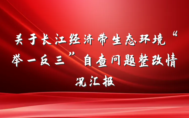 关于长江经济带生态环境“举一反三”自查问题整改情况汇报