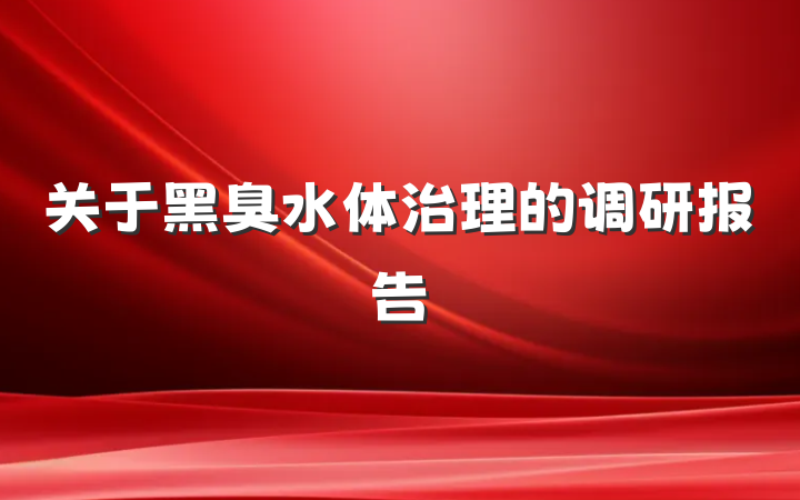 关于黑臭水体治理的调研报告