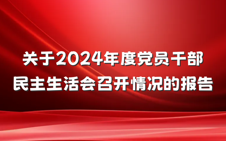 关于2024年度党员干部民主生活会召开情况的报告