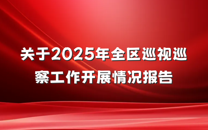 关于2025年全区巡视巡察工作开展情况报告