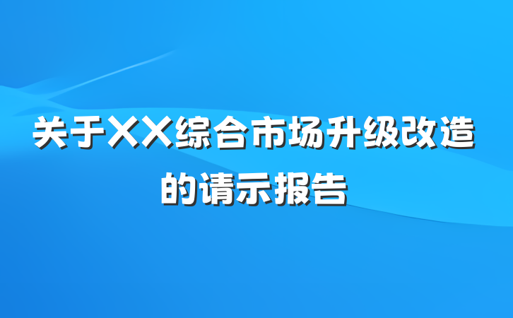 关于XX综合市场升级改造的请示报告