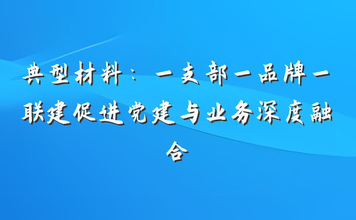 典型材料：一支部一品牌一联建促进党建与业务深度融合