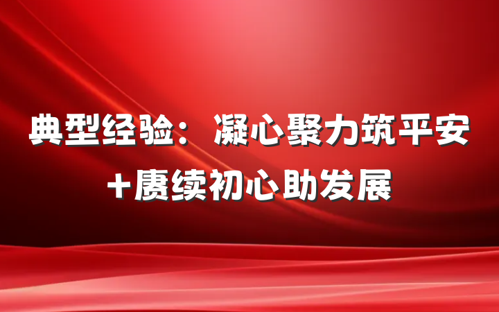 典型经验：凝心聚力筑平安 赓续初心助发展