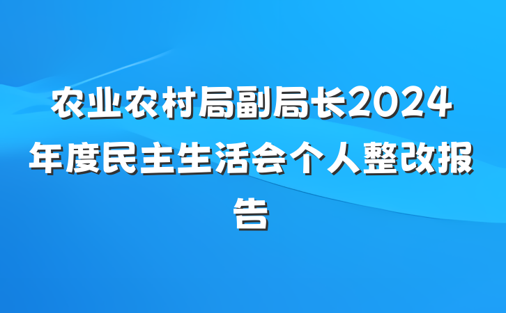 农业农村局副局长2024年度民主生活会个人整改报告
