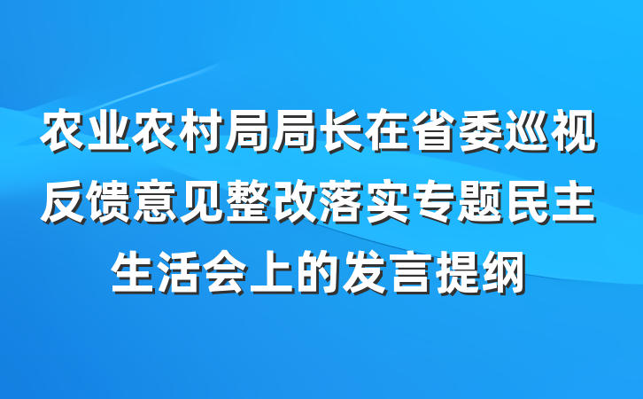 农业农村局局长在省委巡视反馈意见整改落实专题民主生活会上的发言提纲