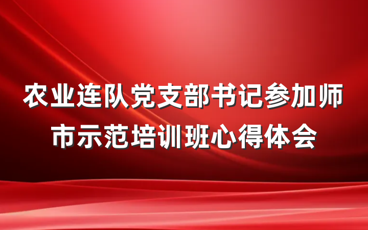 农业连队党支部书记参加师市示范培训班心得体会