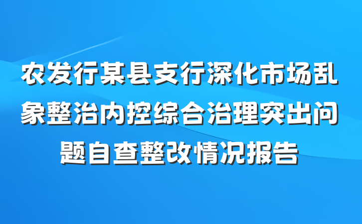 农发行某县支行深化市场乱象整治内控综合治理突出问题自查整改情况报告