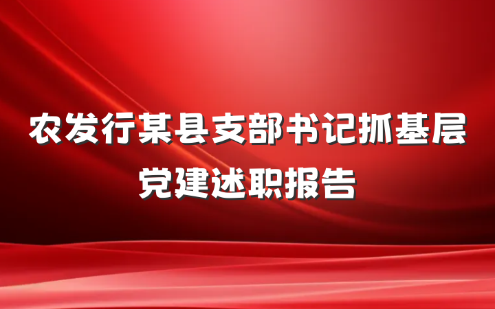 农发行某县支部书记抓基层党建述职报告