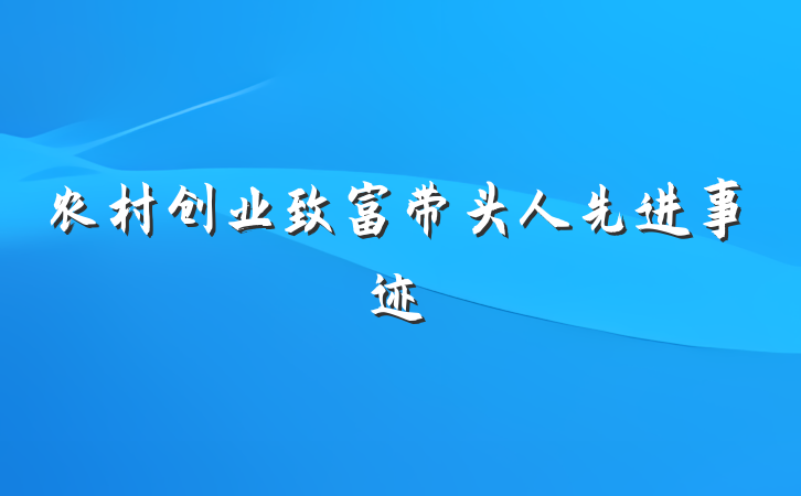 农村创业致富带头人先进事迹