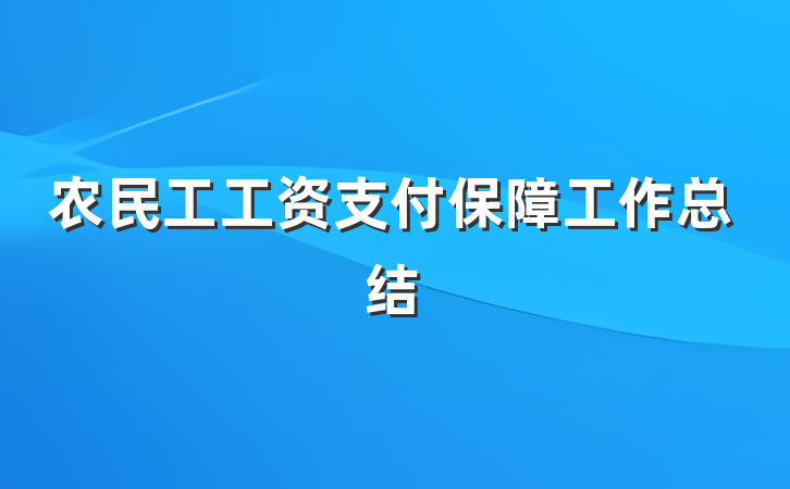 农民工工资支付保障工作总结