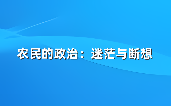 农民的政治：迷茫与断想