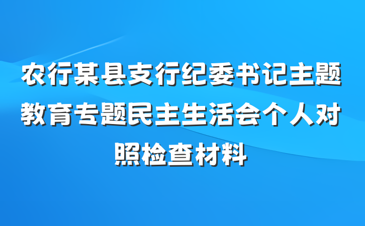 农行某县支行纪委书记主题教育专题民主生活会个人对照检查材料