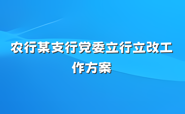 农行某支行党委立行立改工作方案