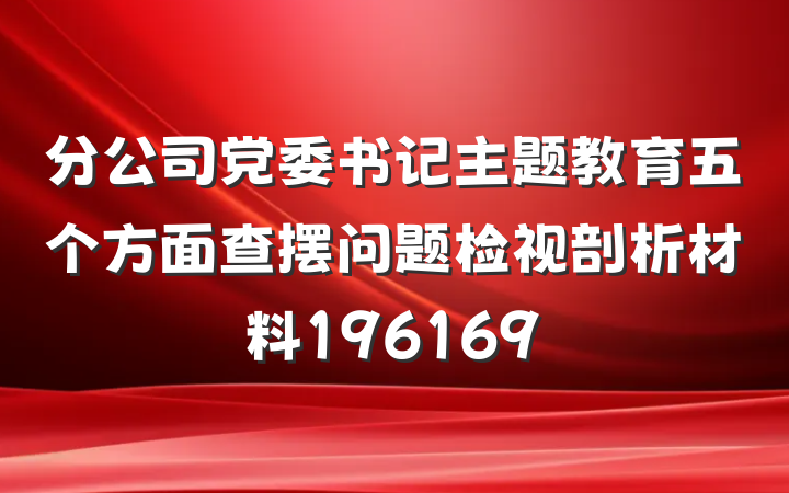 分公司党委书记主题教育五个方面查摆问题检视剖析材料196169
