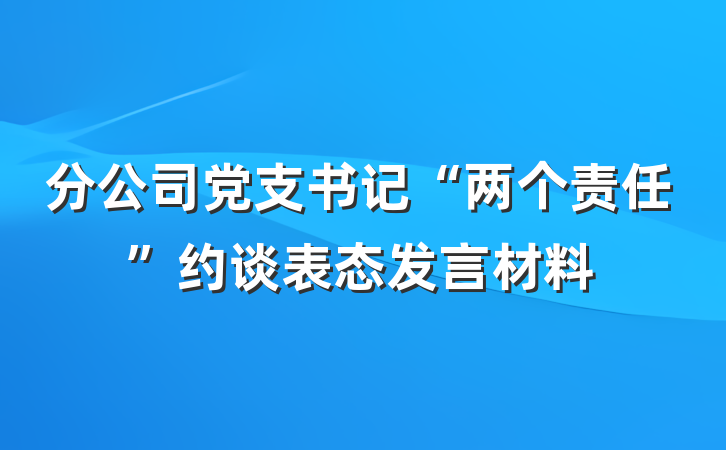 分公司党支书记“两个责任”约谈表态发言材料