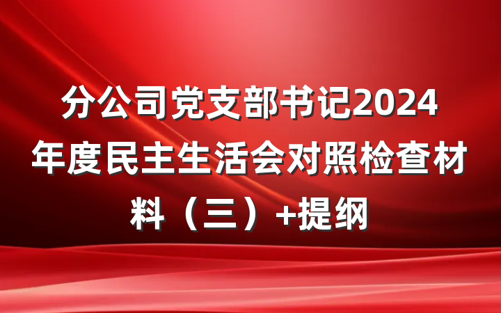 分公司党支部书记2024年度民主生活会对照检查材料（三） 提纲