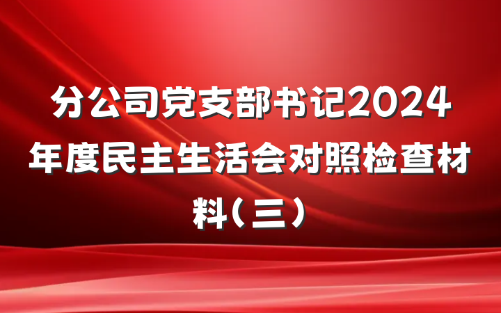 分公司党支部书记2024年度民主生活会对照检查材料(三)