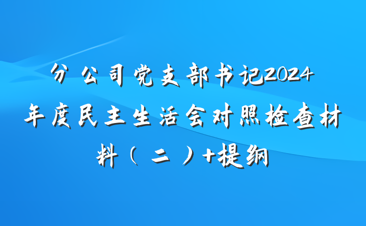 分公司党支部书记2024年度民主生活会对照检查材料（二） 提纲