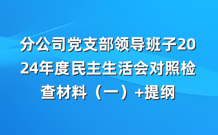 分公司党支部领导班子2024年度民主生活会对照检查材料（一） 提纲