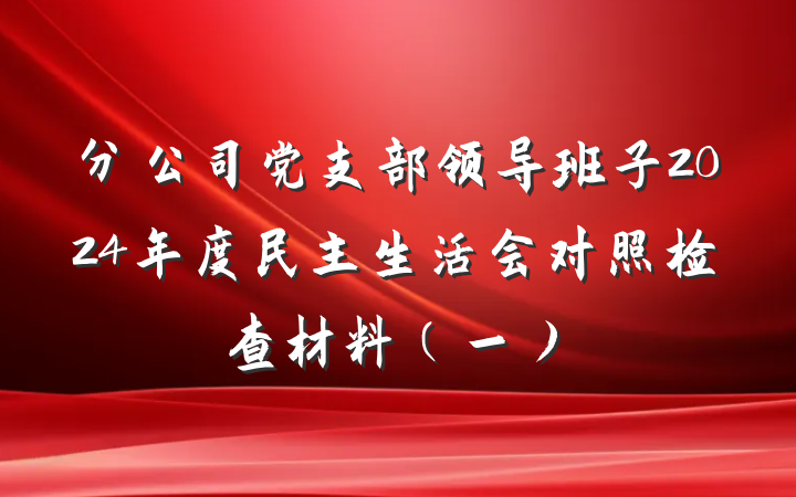 分公司党支部领导班子2024年度民主生活会对照检查材料(一)