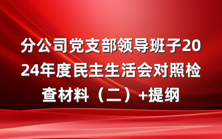 分公司党支部领导班子2024年度民主生活会对照检查材料（二） 提纲