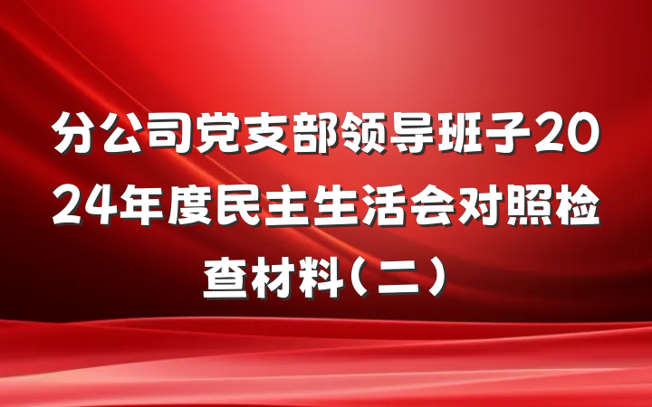 分公司党支部领导班子2024年度民主生活会对照检查材料（二）