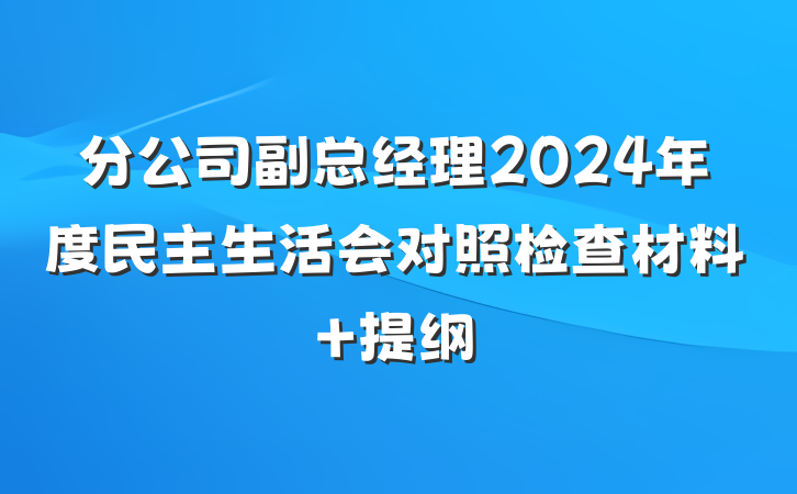 分公司副总经理2024年度民主生活会对照检查材料 提纲