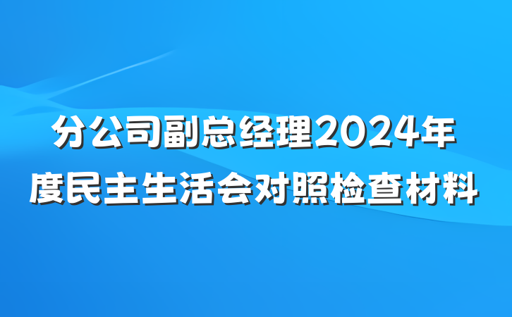 分公司副总经理2024年度民主生活会对照检查材料