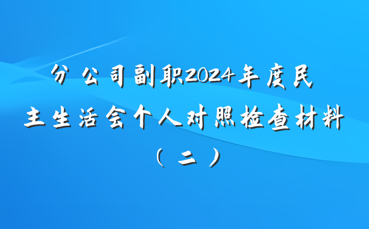 分公司副职2024年度民主生活会个人对照检查材料（二）