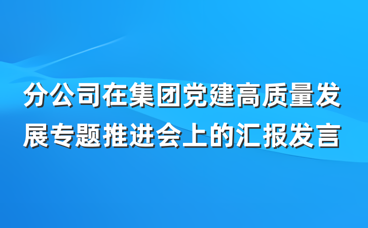 分公司在集团党建高质量发展专题推进会上的汇报发言