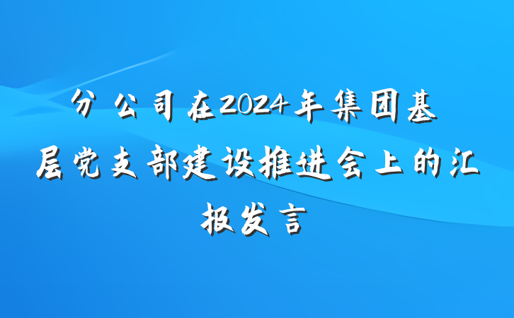 分公司在2024年集团基层党支部建设推进会上的汇报发言