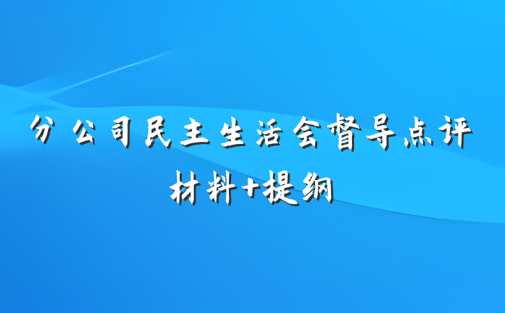 分公司民主生活会督导点评材料 提纲