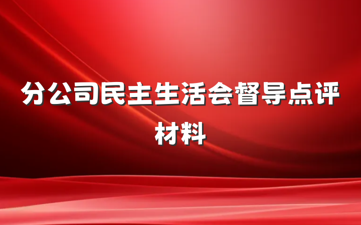 分公司民主生活会督导点评材料