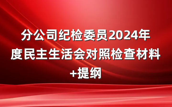 分公司纪检委员2024年度民主生活会对照检查材料 提纲