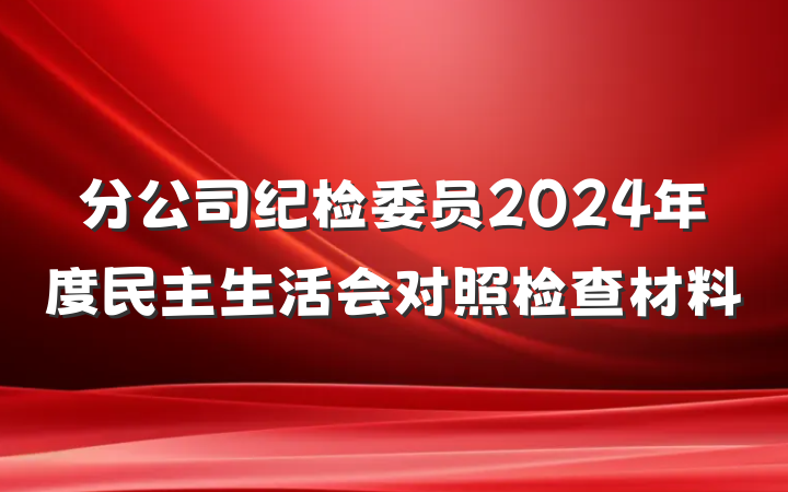 分公司纪检委员2024年度民主生活会对照检查材料